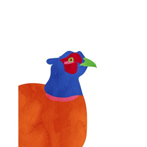 Heller fasanenvogel - heller,